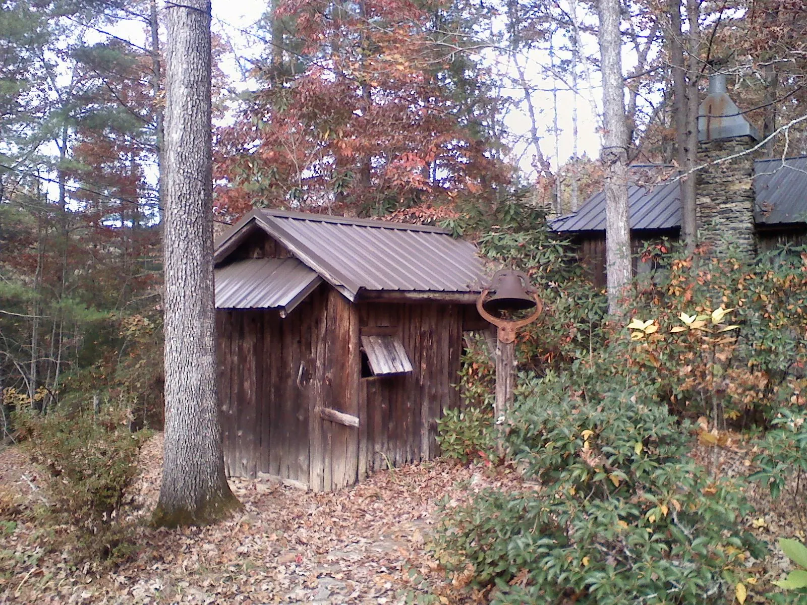 Small metal roof on a rough sawn shed in the woods in Norton